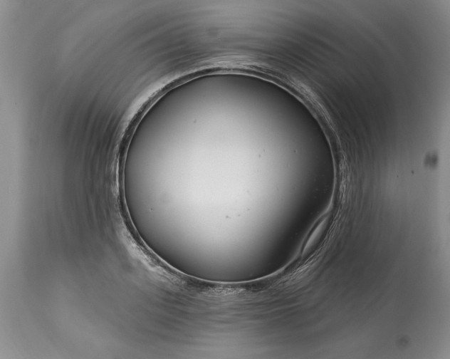 X0000113580939200910021649