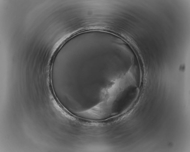 X0000113580941200910021649