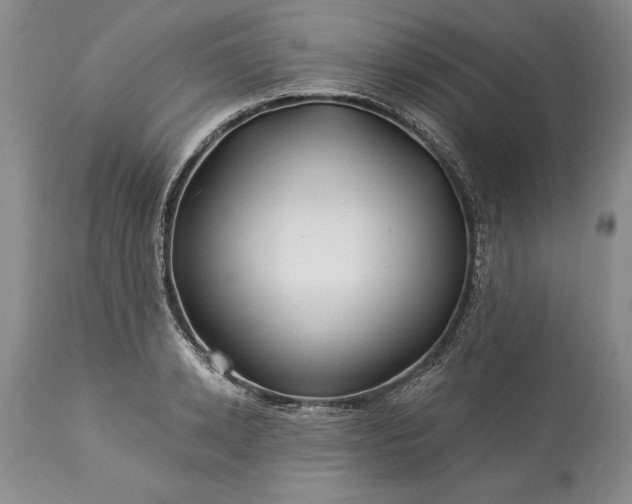 X0000113580942200910021649