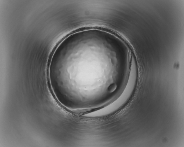 X0000113580943200910021649