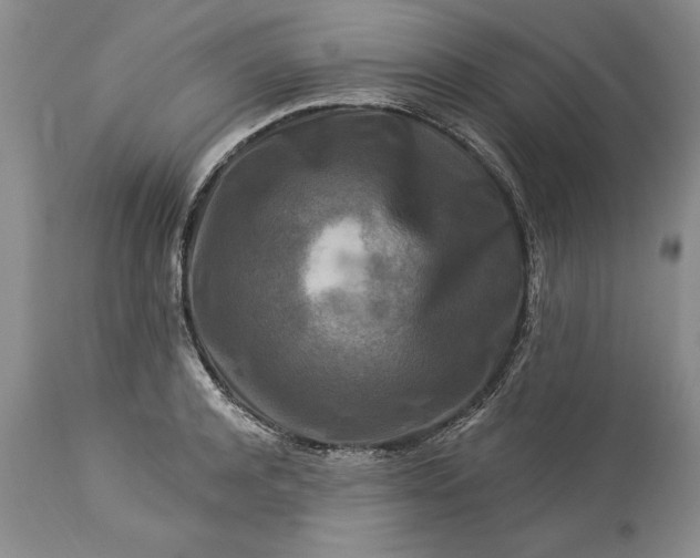 X0000113580944200910021649