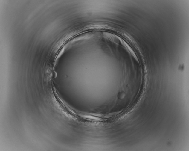 X0000113580945200910021649