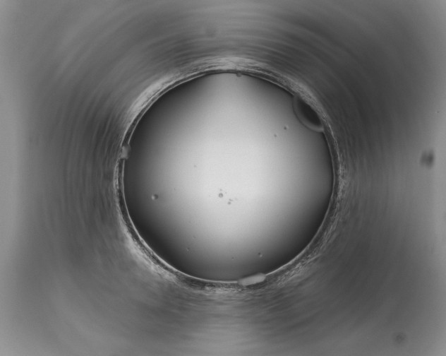 X0000113580946200910021649