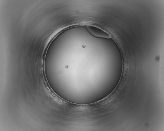 X0000113580948200910021649