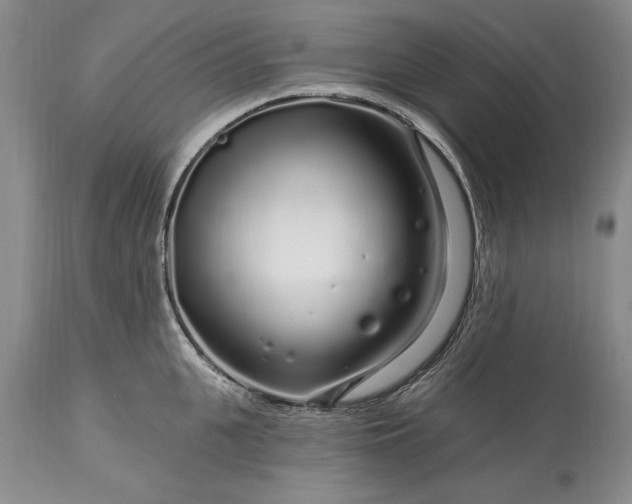 X0000113580951200910021649