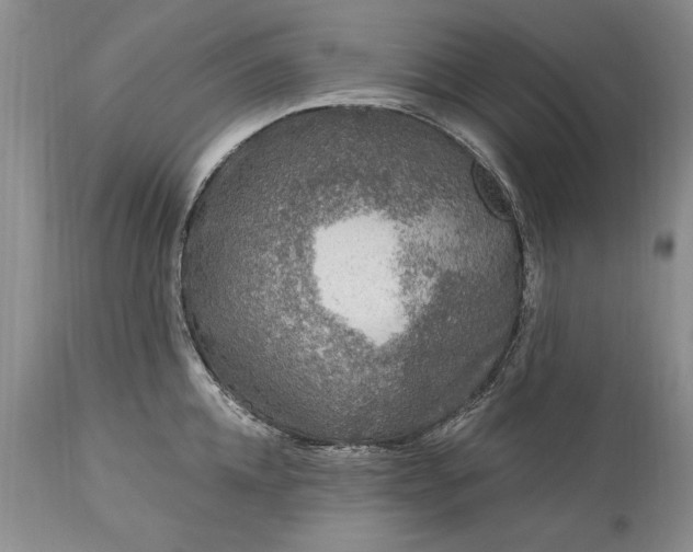 X0000113580952200910021649