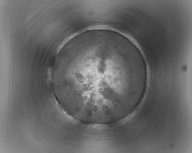 X0000113580953200910021649