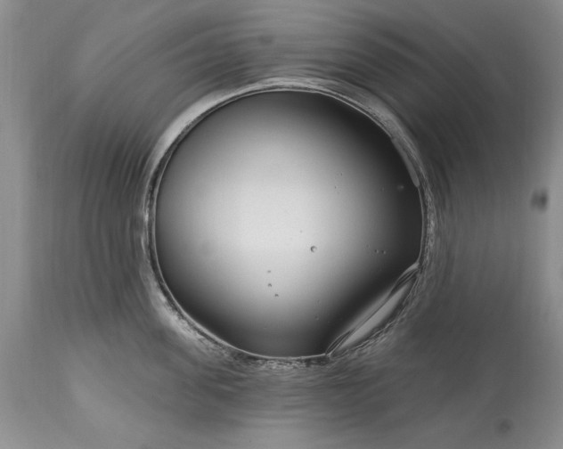 X0000113580955200910021649