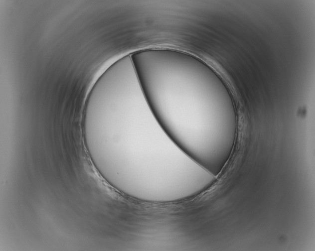 X0000113580956200910021649