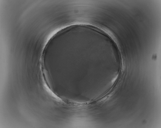 X0000113580958200910021649