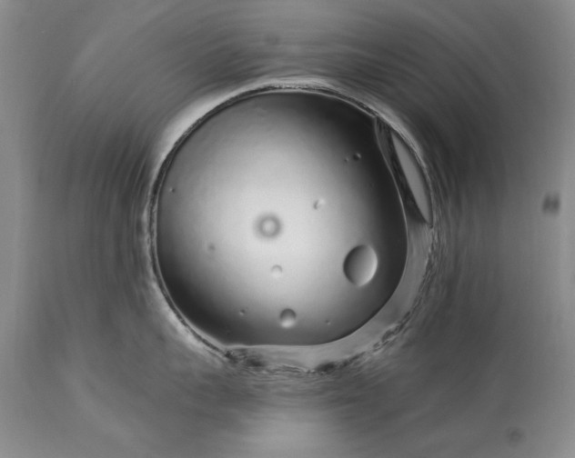 X0000113580959200910021649