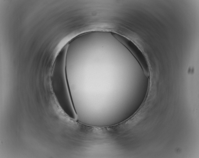 X0000113580960200910021649