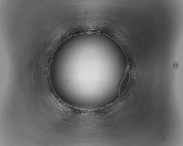 X0000113580961200910021648