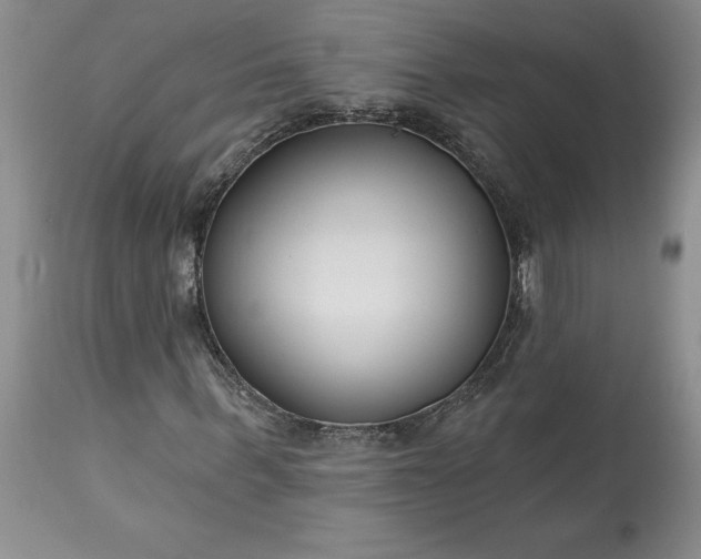 X0000113580963200910021648