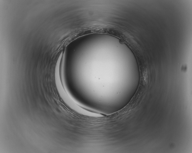 X0000113580964200910021648