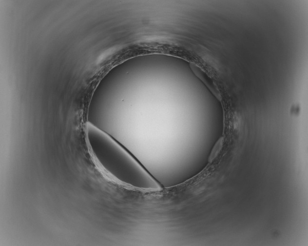 X0000113580965200910021648