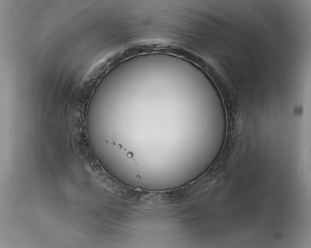 X0000113580967200910021648