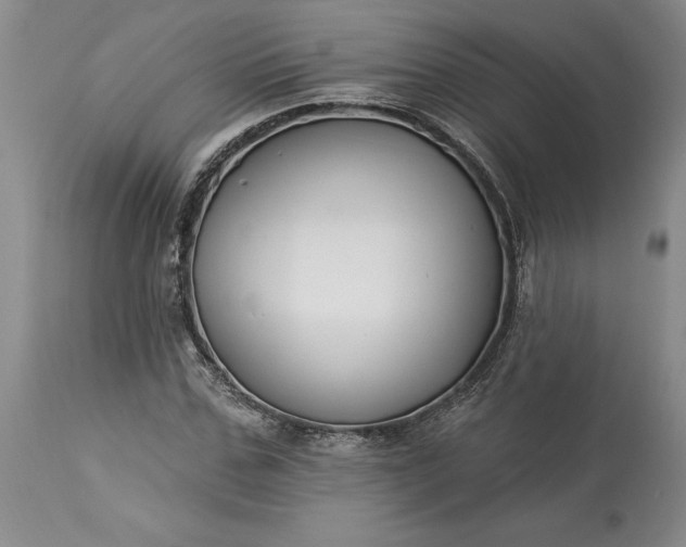 X0000113580971200910021648