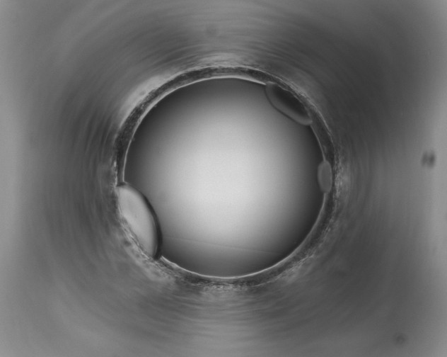 X0000113580973200910021648