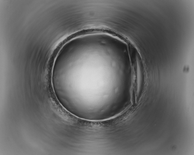 X0000113580975200910021648