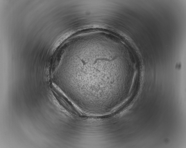 X0000113580977200910021648