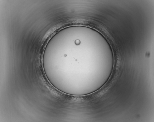 X0000113580978200910021648