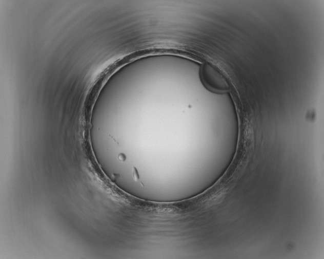 X0000113580979200910021648