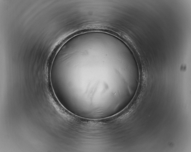 X0000113580981200910021648