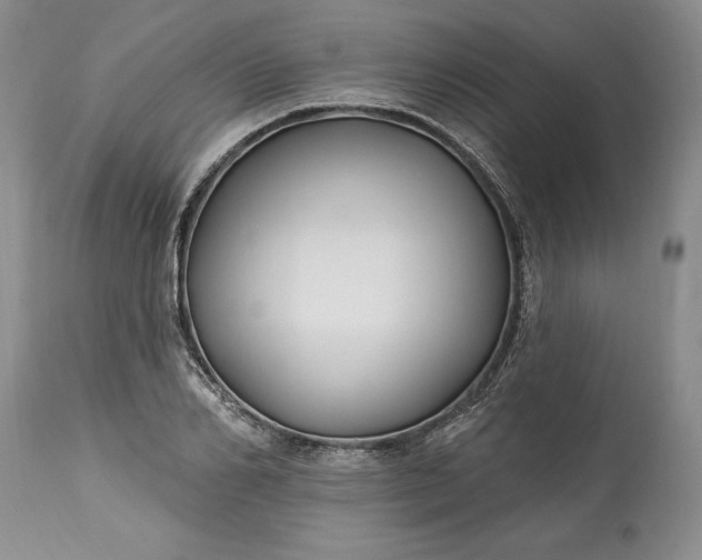 X0000113580982200910021648