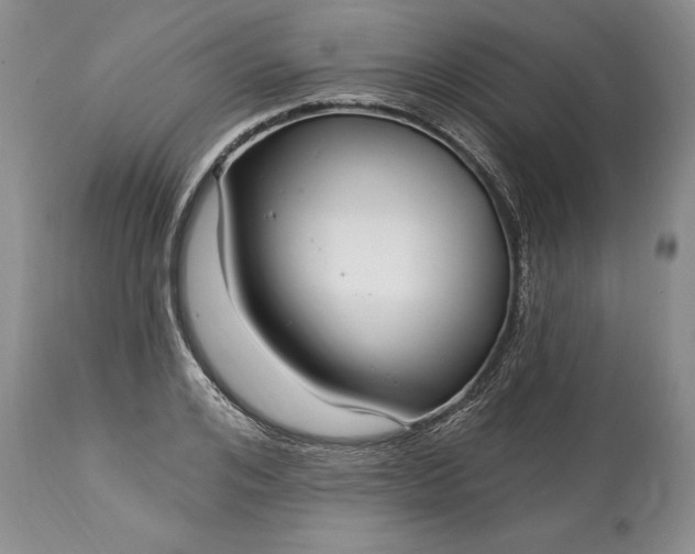 X0000113580984200910021648