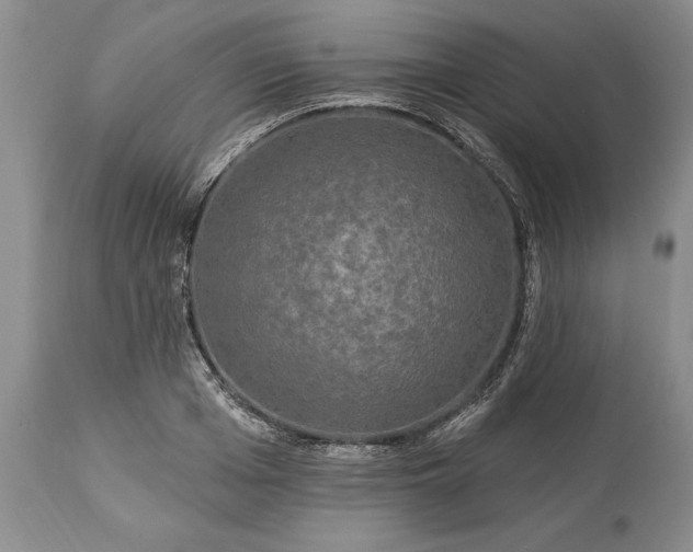 X0000113580985200910021648