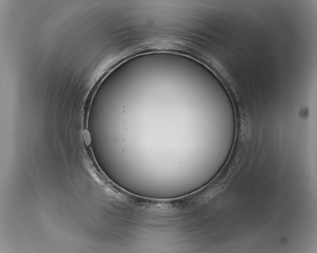 X0000113580986200910021648