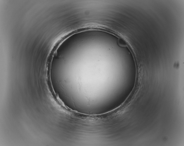 X0000113580987200910021648