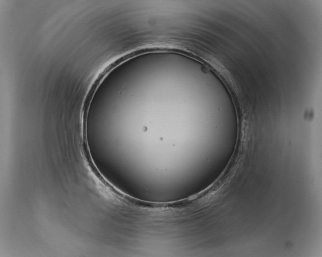 X0000113580988200910021648