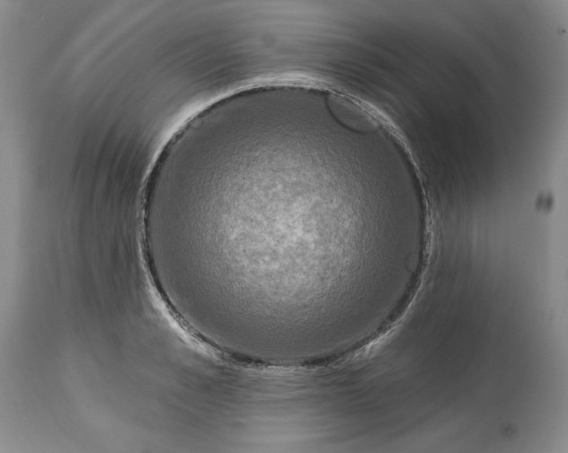 X0000113580989200910021648