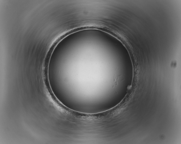 X0000113580991200910021648