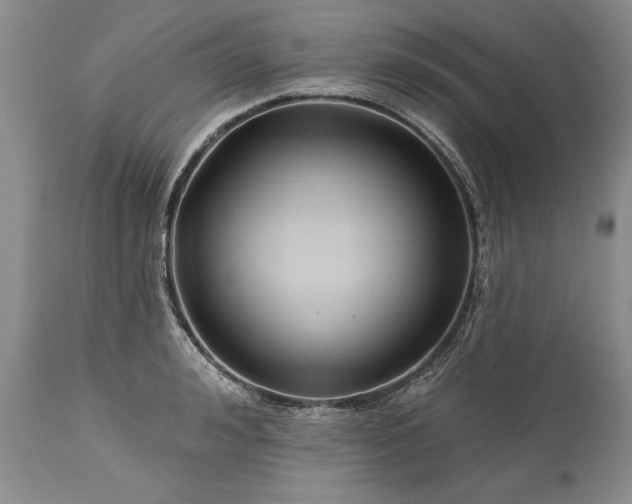 X0000113580992200910021648