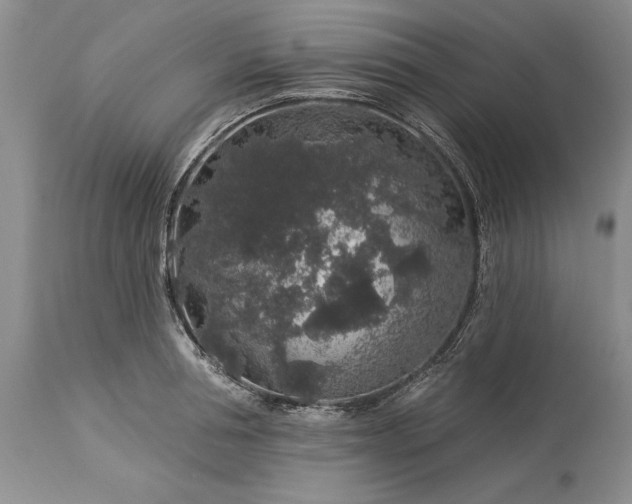 X0000113580994200910021648