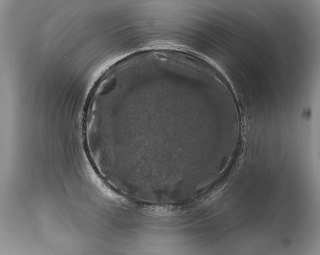 X0000113580995200910021648