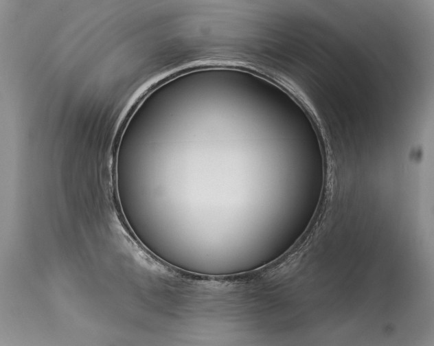 X0000113580996200910021648