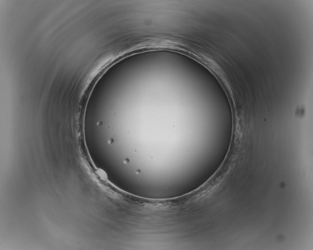 X0000113580997200910021648