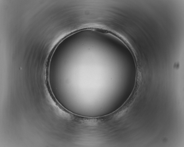 X0000113580999200910021648