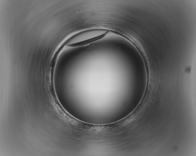 X0000113581000200910021648