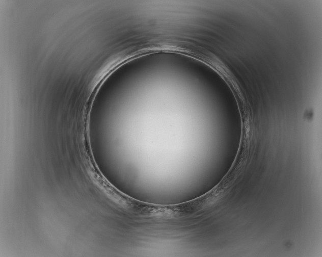 X0000113581002200910021648