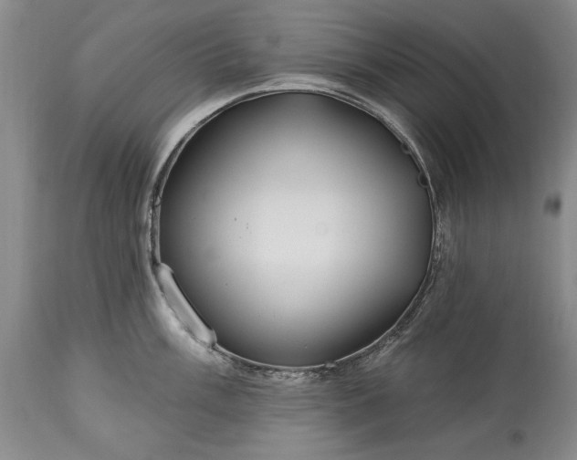 X0000113581003200910021648