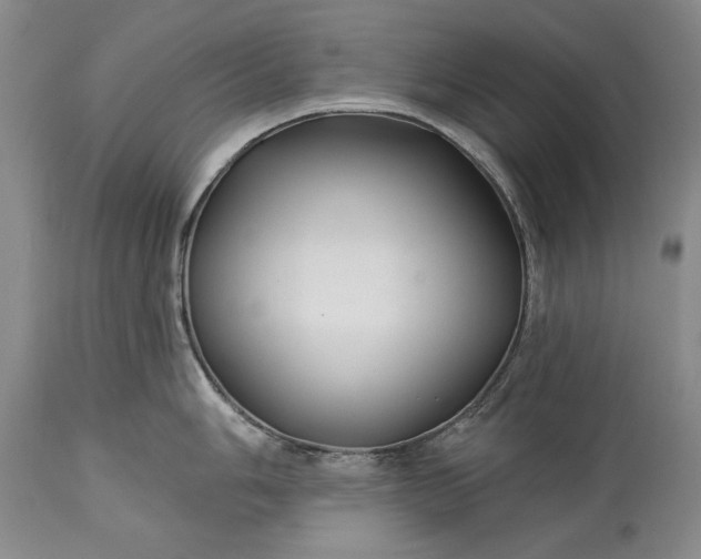 X0000113581006200910021648