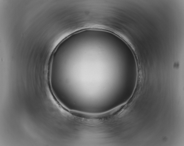 X0000113581007200910021648