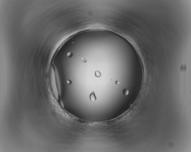 X0000113581008200910021648