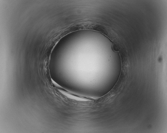 X0000113581010200910021647