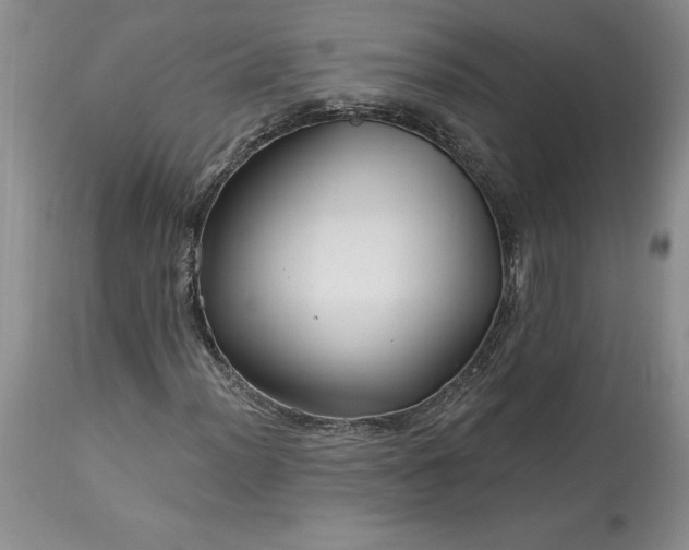 X0000113581012200910021647